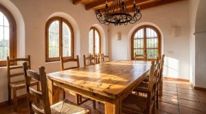 mango wood furniture guide