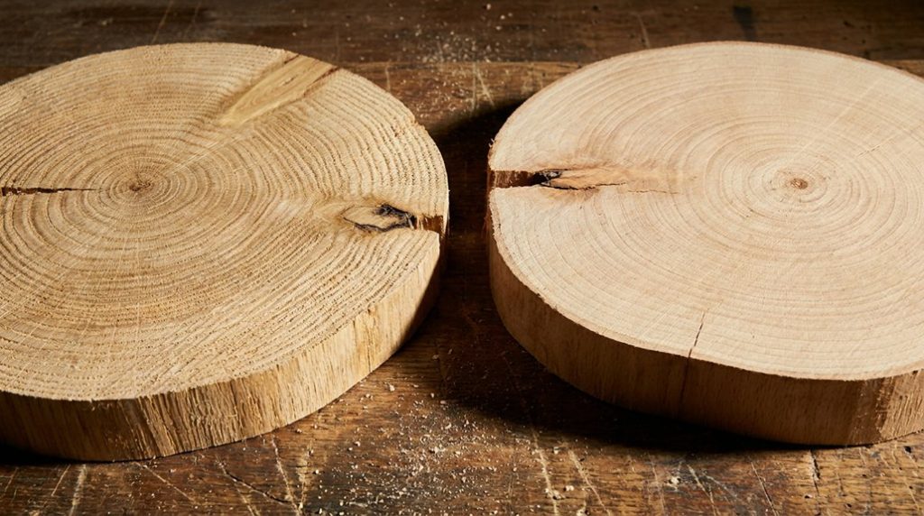 oak versus beech hardness